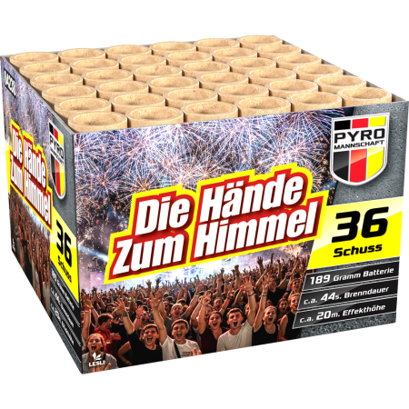 04238 Die Hände Zum Himmel