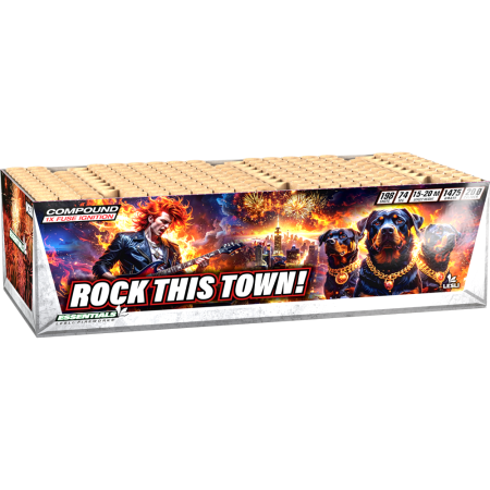 04358 Rock This Town!