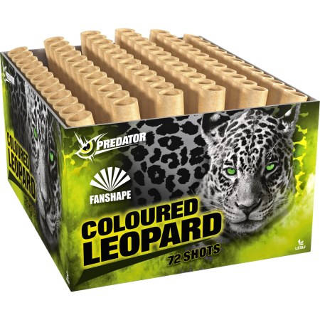 04497 Coloured Leopard