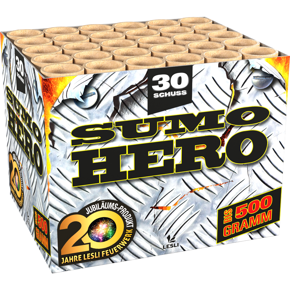 06672 Sumo Hero