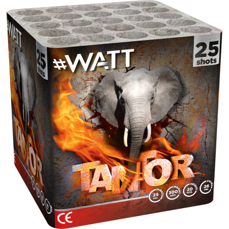 1023 Tantor