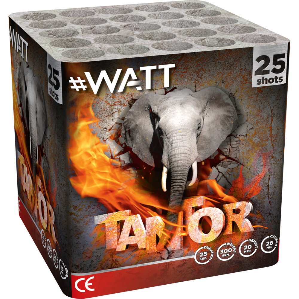 1023 Tantor