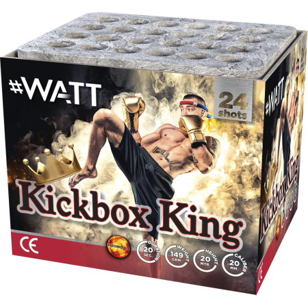 1024 Kickbox King