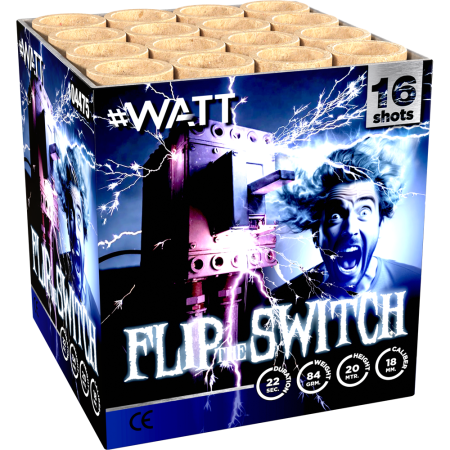 2579 Flip The Switch!