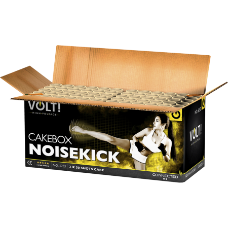 6253 Noisekick